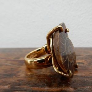 Fossil Ring.